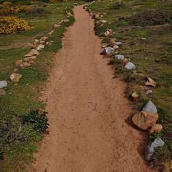 Sehr gepflegter Weg ...