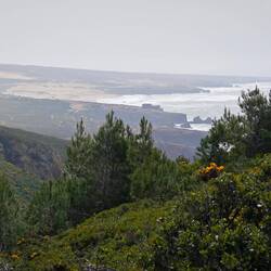 Es geht immer höher!