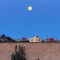 Traumhafter Mond morgens 💫