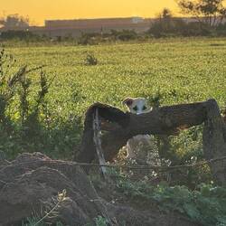 Gut versteckt! 🥹🤣