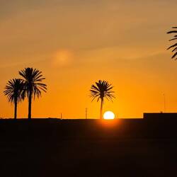 Ein Traum! 🫶❤️💫