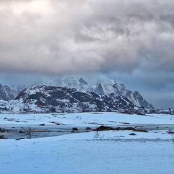 Mein Moor kommt auch wieder durch ...
