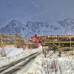 Fischgestelle an der Küste