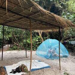 At dawn and dusk you must enter the "cage" for treatment. No service in mosquito land 😅