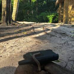 So many creepy crawlers