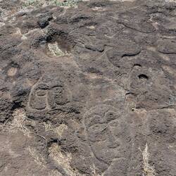 Carvings of faces and a bird