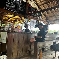 Dog sanctuary slash bar :)