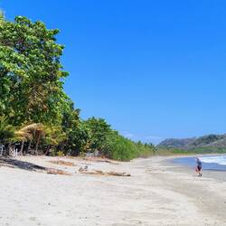 Seven links unter Palmen 🥰👌