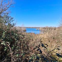 Blick auf den Mondorfer See.