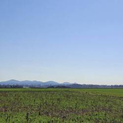 Blick aufs Siebengebirge und den Bonner Posttower.