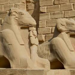 Widder bewachen Eingang und Pharao