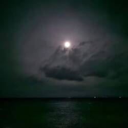 Und die schwarze Sonne geht auf.