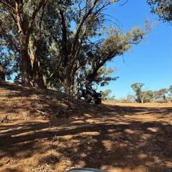 Kevin fährt am Baum Nr. 2 ✊