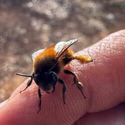 Einfach auf den Finger geflogen ❤️🫶💫