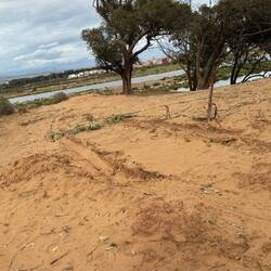 Uli hat sich dann auch noch 1x festgefahren! 🤣🤣