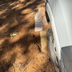 Teppiche, Bretter, Äste! Alles hat hergehalten! 🤣🤣