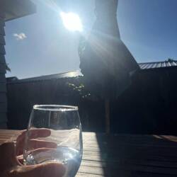 Sun in Auckland