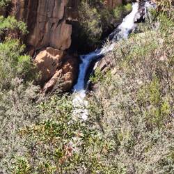Fish Falls