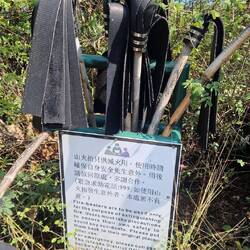 Keine Hexenbesen, sondern Feuerausklopfer