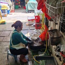 Zubereitung streng nach HACCP Standard