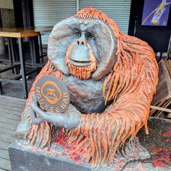 Mein erster Orang-Utan 😉