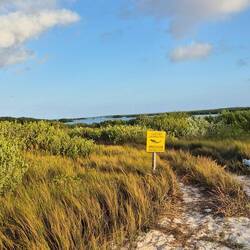 Naturschutzpark _Langune