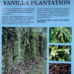 Lite info om hur man odlar vanilj