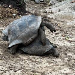 Ojdå inget privatliv här inte!