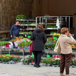 Auf dem Markt sind viele Einheimische unterwegs und halten an jeder Ecke für einen Schwatz!