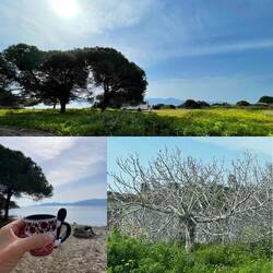 ..unser schönes Plätzchen in der Natur haben schon alle verlassen.Weiter ging's auch für uns🚐
