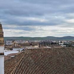 View from roof terrace