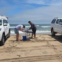 Picknickvorbereitung