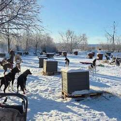 They are excited about our arrival