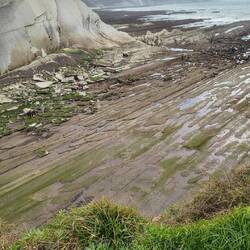 Sowohl am Boden als auch an den Felsen