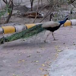 ... con muchos habitantes.