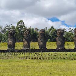 Die sieben Kundschafter schauen als einzige Moai auf das Meer.