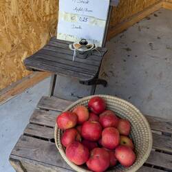 Sustenance! (A bit on the old side but sustenance nonetheless!)