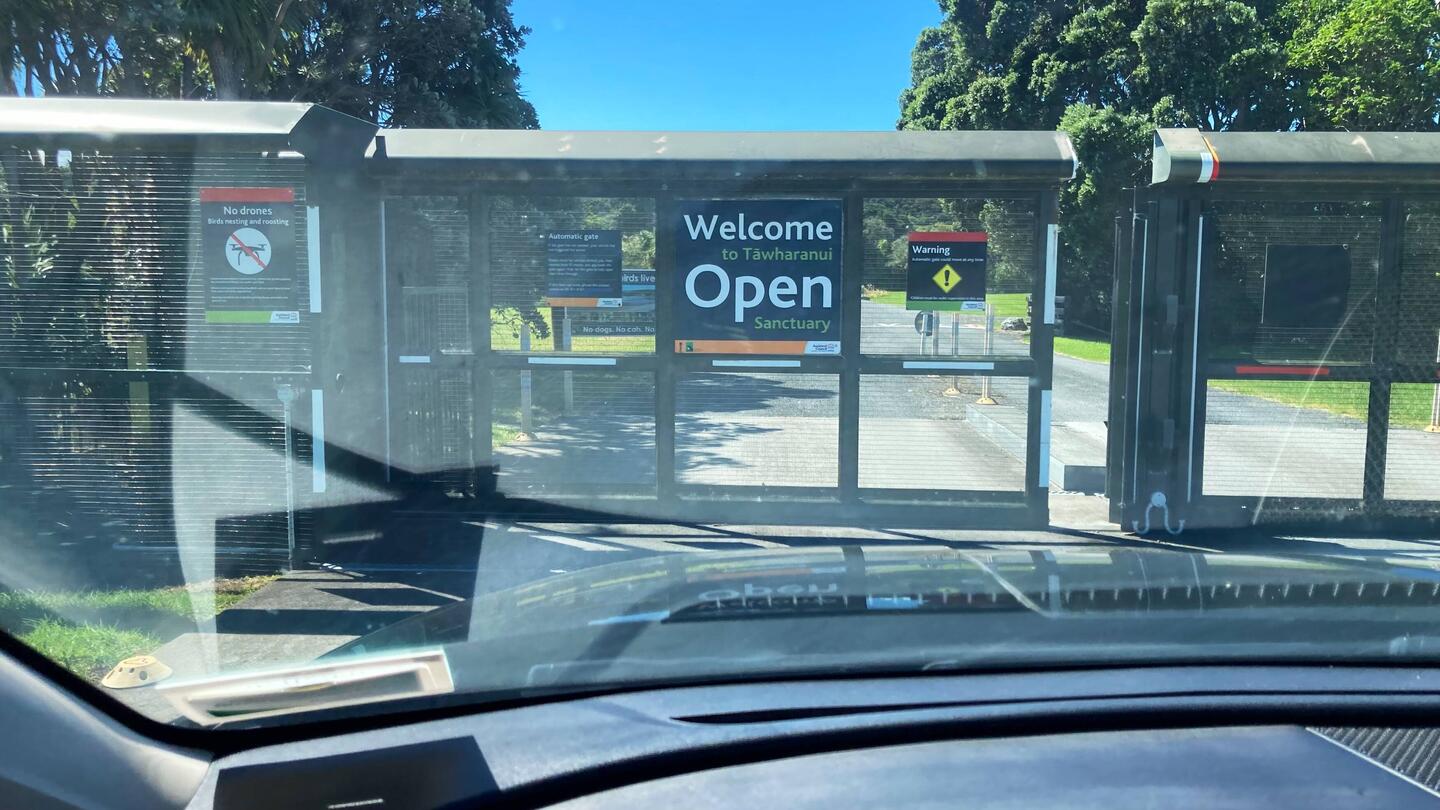 The predator-proof entrance to Tawharaniu