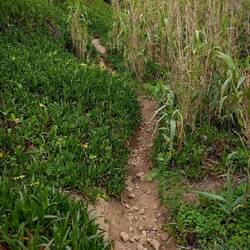 Letzter Anstieg zum Cabo da Roca ...