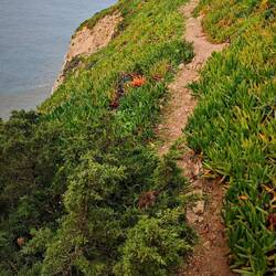 Und wieder oben, direkt an der Kante.