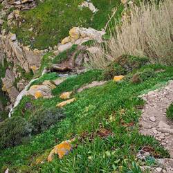 Tal 3: Ein kleiner Bachlauf muss noch überquert werden, dann geht es zum Cabo da Roca hoch.