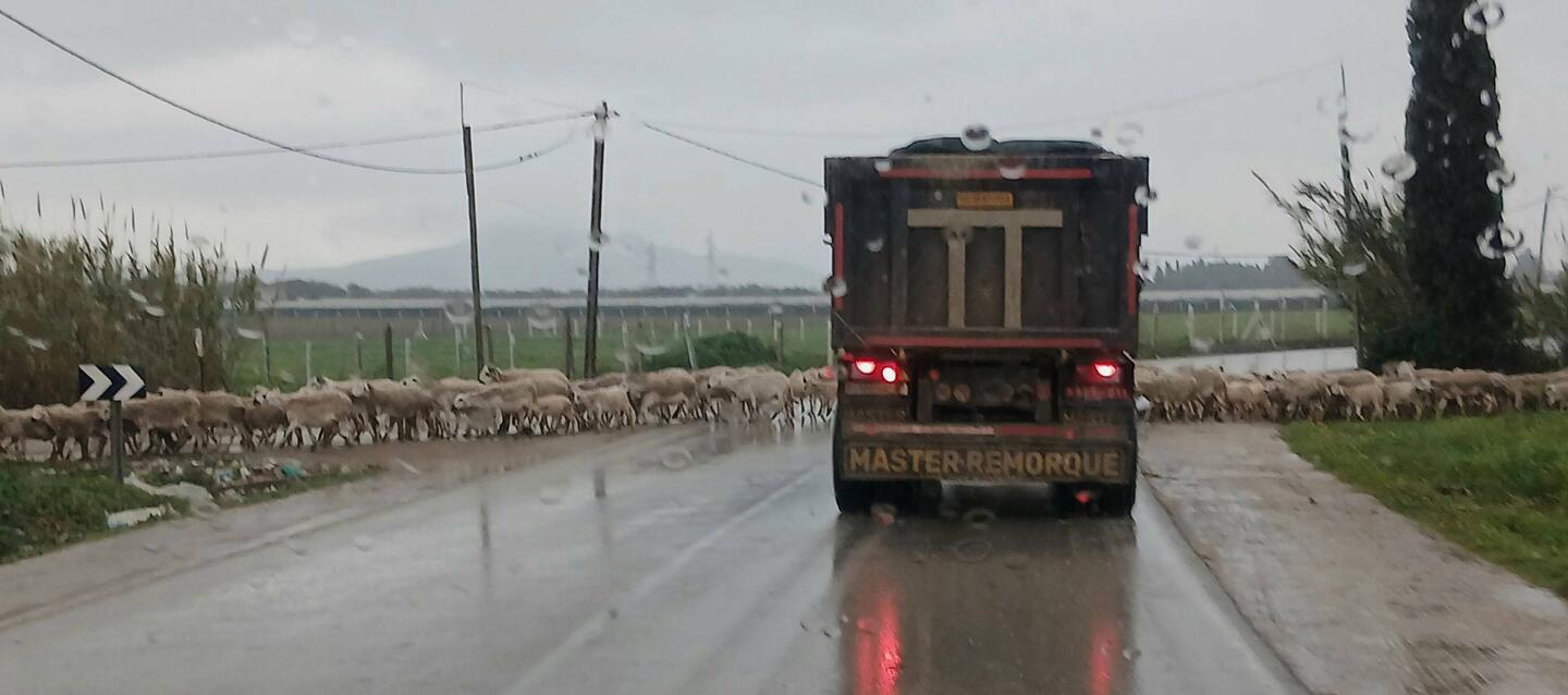 Rechts vor links...🤷‍♀️