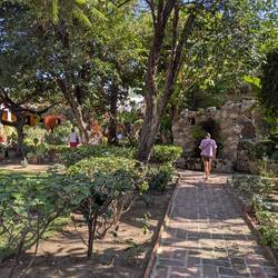 Gardens at Chatterleys