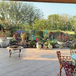 Janet's cactus garden