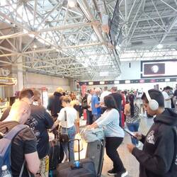 Die Schlange und sie bewegt sich nicht