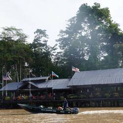 Rainforest Lodge Sukau