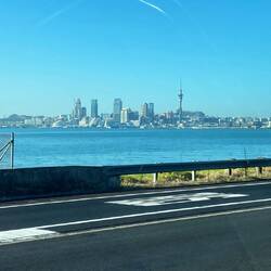 Home via Auckland