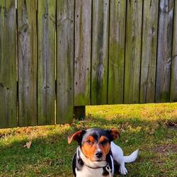 Hein Mück ist müde!