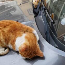 Ein Schlafplatz 🤷