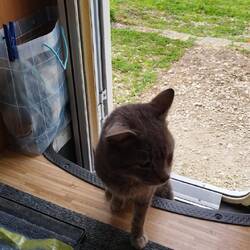 Der letzte Versuch😂